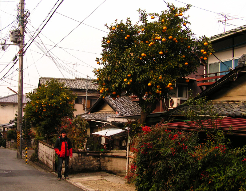 Japan - in the streets of Fukuoka 01