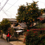 Japan - in the streets of Fukuoka 01