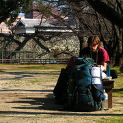Japan - Brano in a park in Kumamoto