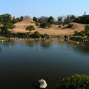 Japan - a Zen garden 02