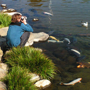 Japan - a Zen garden 03