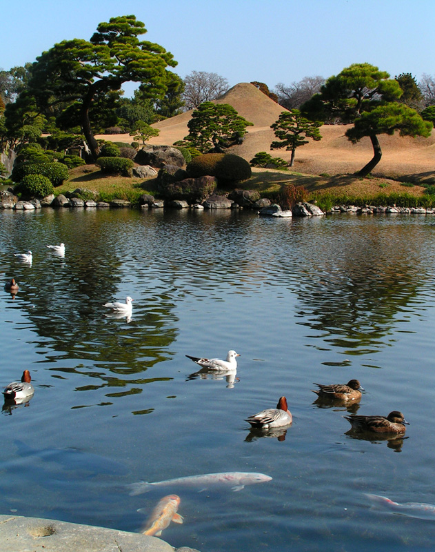 Japan - a Zen garden 04