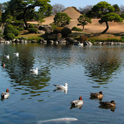 Japan - a Zen garden 04