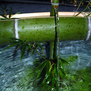 Japan - a water tap in a garden