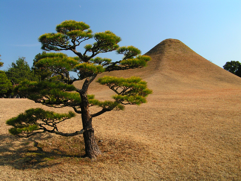 Japan - a Zen garden 08