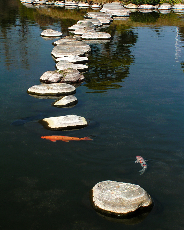 Japan - a Zen garden 09