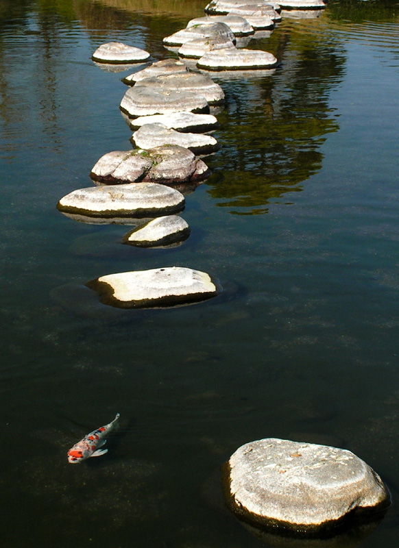 Japan - a Zen garden 10