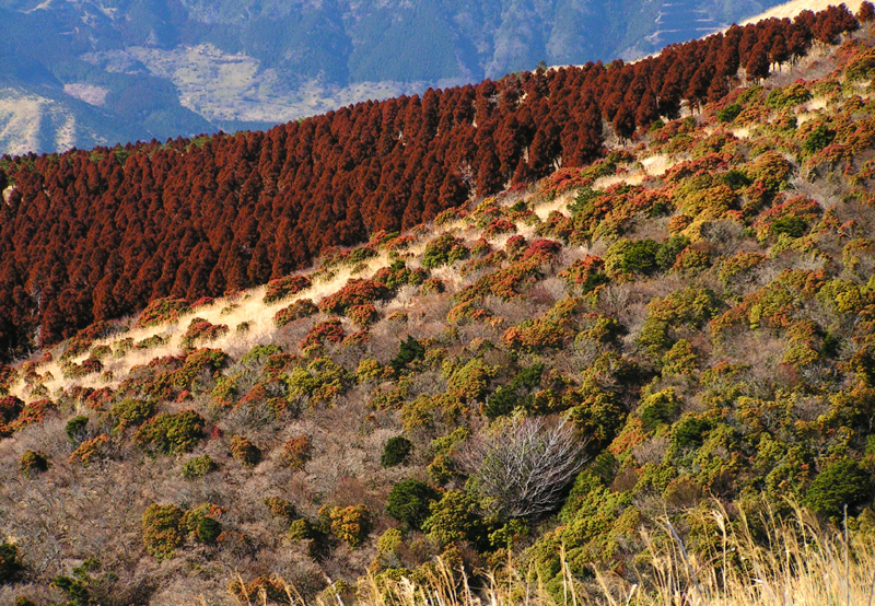 Japan - a trek around Mt. Aso 04