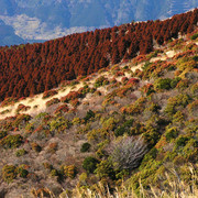 Japan - a trek around Mt. Aso 04