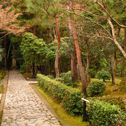 Japan - Kyoto - in the garden of Ginkakuji 11