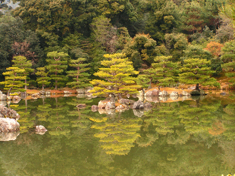 Japan - Kyoto - a garden pond around Kinkakuji Temple