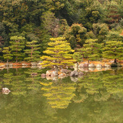 Japan - Kyoto - a garden pond around Kinkakuji Temple