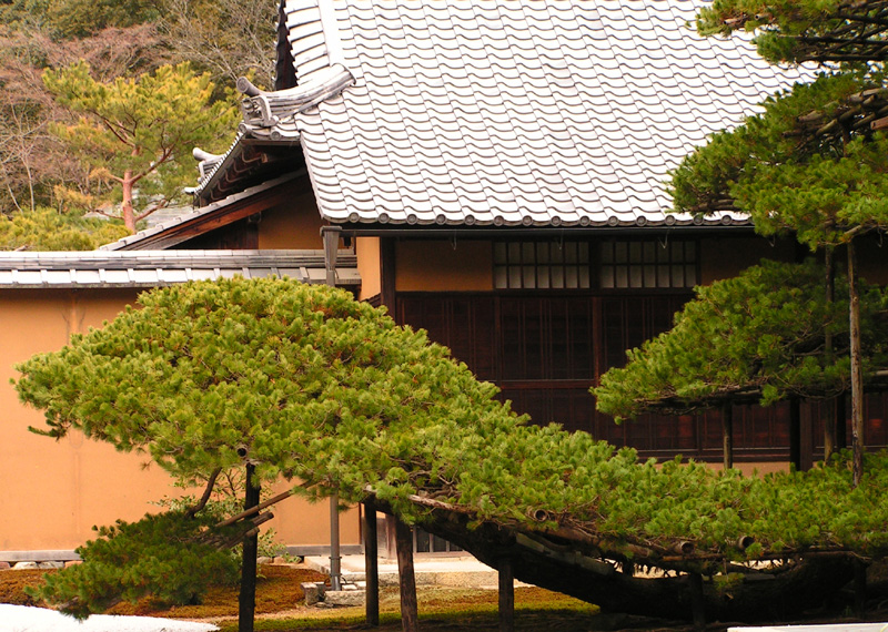 Japan - Kyoto - a garden around Kinkakuji Temple