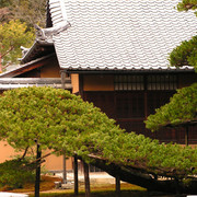 Japan - Kyoto - a garden around Kinkakuji Temple