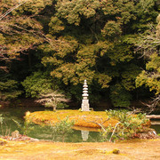 Japan - Kyoto - a garden around Golden Pavilion Temple