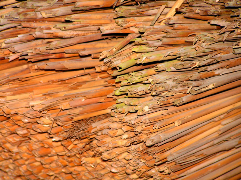 Japan - Kyoto - a roof detail in Kinkakuji complex