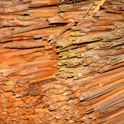 Japan - Kyoto - a roof detail in Kinkakuji complex