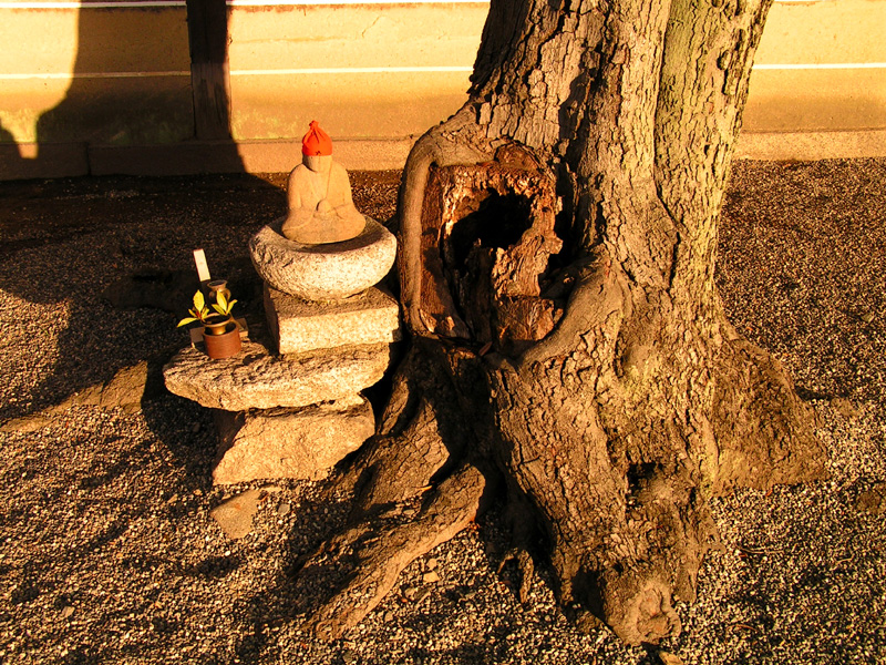 Japan - Kyoto - a Buddha with a cap