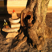 Japan - Kyoto - a Buddha with a cap