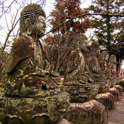 Japan - Kyoto - a Buddha statue in the Ryōanji