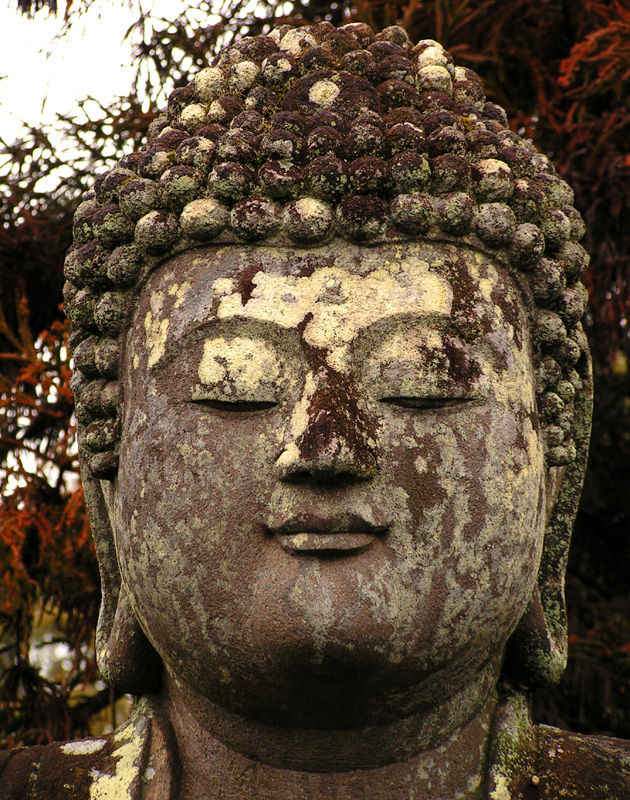 Japan - Kyoto - a Buddha head in the Ryōanji