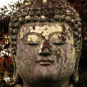 Japan - Kyoto - a Buddha head in the Ryōanji