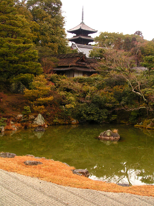 Japan - Kyoto - a garden pond in Nanzenji