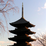 Japan - a top of Toji pagoda in Kyoto