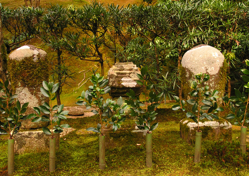 A Japanese garden in Ginkakuji Temple (Kyoto)