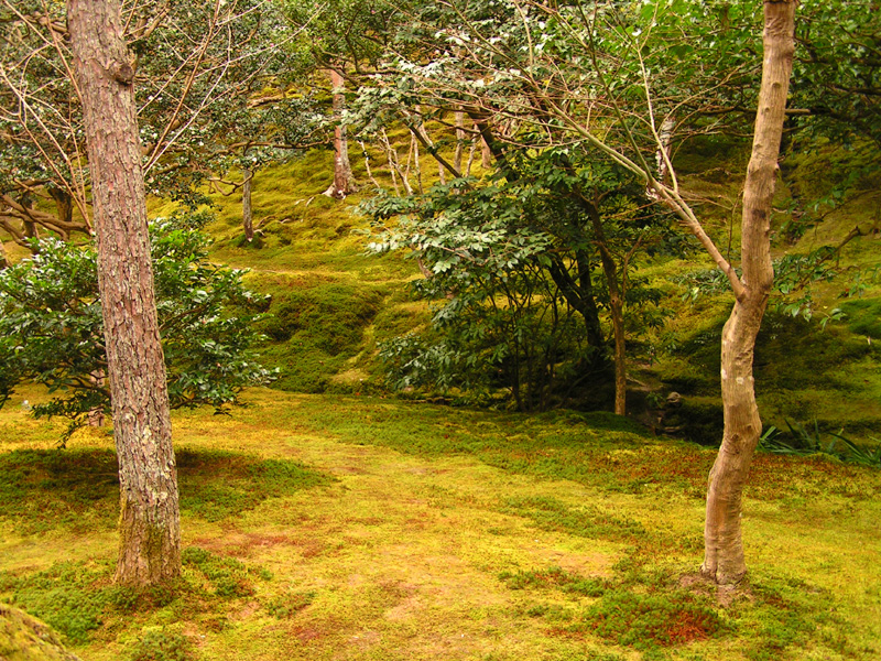 Japan - Kyoto - in the garden of Ginkakuji 03