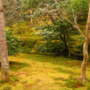 Japan - Kyoto - in the garden of Ginkakuji 03