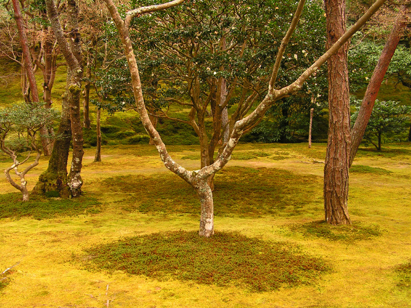 Japan - Kyoto - in the garden of Ginkakuji 04