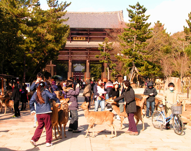 Japan - Nara