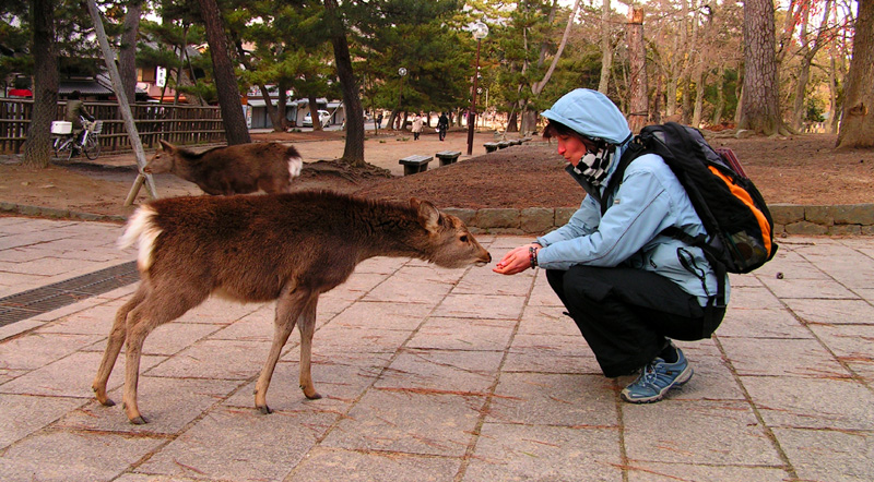 Japan - Paula with a Nara Shika deer