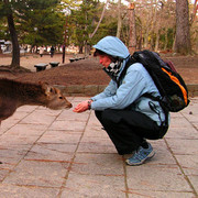 Japan - Paula with a Nara Shika deer