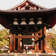 Japan - Paula in Nara