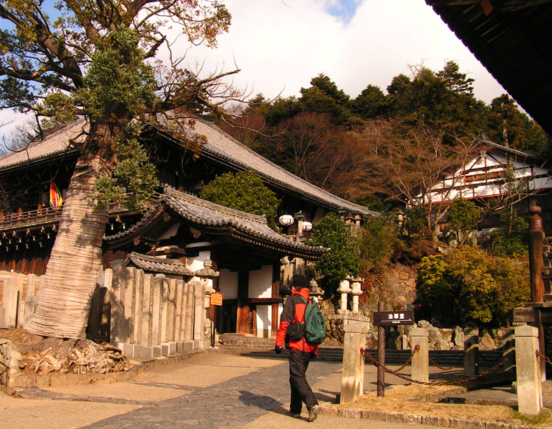 Japan - Nara - Brano inside Kasuga Taisha complex