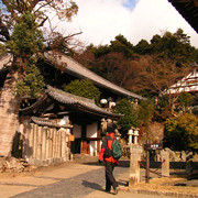 Japan - Nara - Brano inside Kasuga Taisha complex