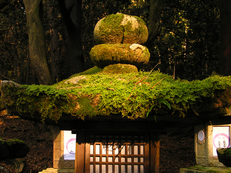 Japan - Nara - a stone lantern in Kasuga Grand Shrine