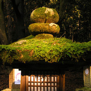 Japan - Nara - a stone lantern in Kasuga Grand Shrine