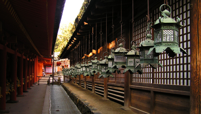 Japan - Nara - bronze lanterns in Kasuga Grand Shrine