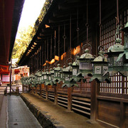 Japan - Nara - bronze lanterns in Kasuga Grand Shrine