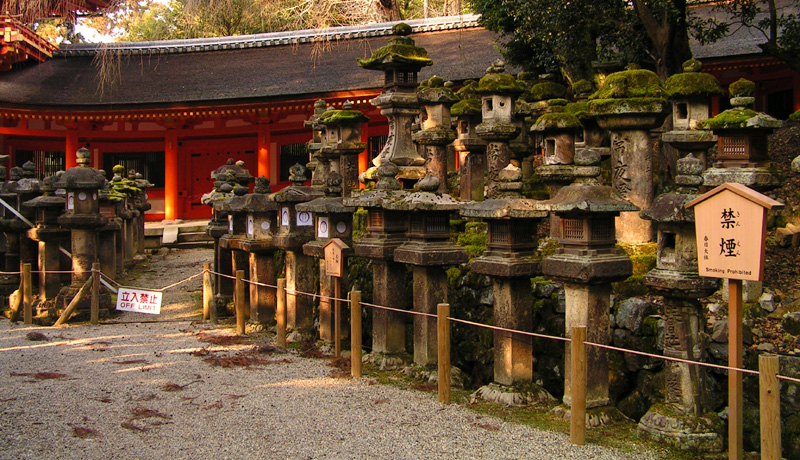 Japan - Nara - lanterns on the pathway in Kasuga Taisha