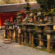 Japan - Nara - lanterns on the pathway in Kasuga Taisha