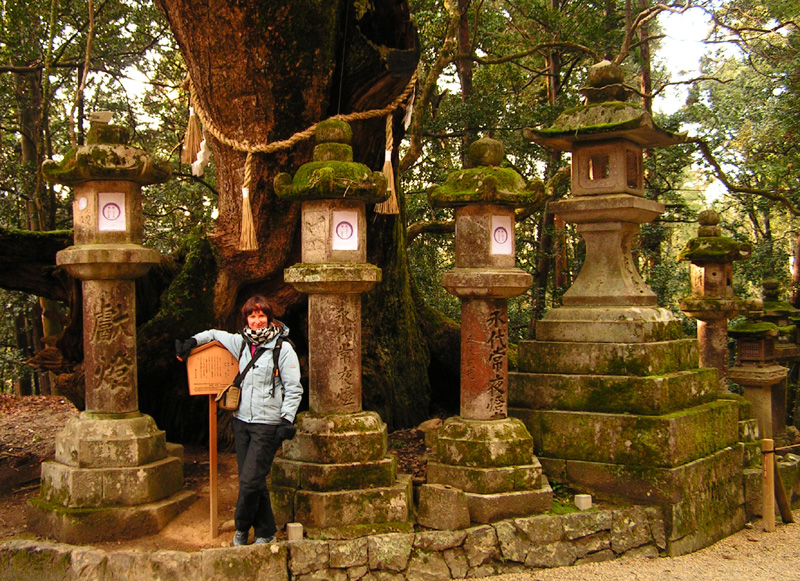 Japan - Nara - Paula with lanterns in Kasuga Taisha