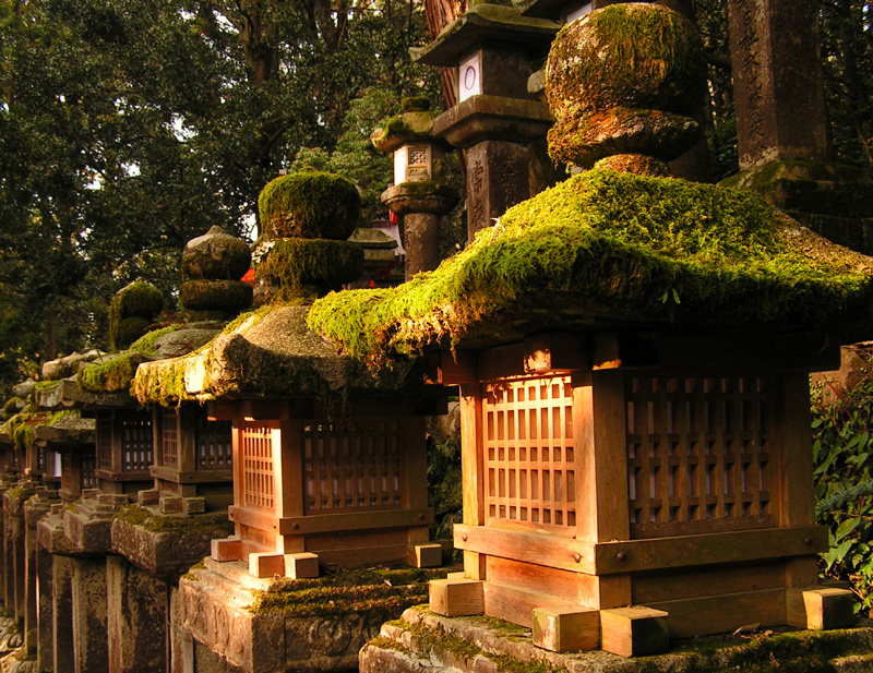 Japan - Nara - beautiful lanterns everywhere