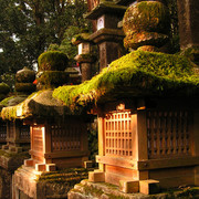 Japan - Nara - beautiful lanterns everywhere