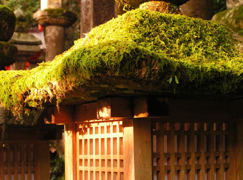 Japan - Nara - a wooden lantern
