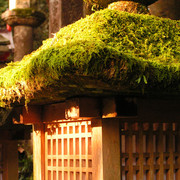 Japan - Nara - a wooden lantern