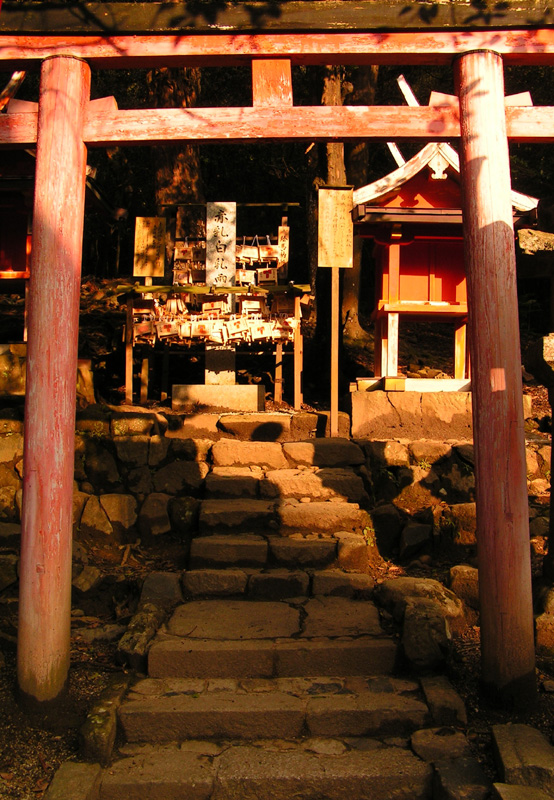 Japan - Nara - a pathway in Kasuga Grand Shrine